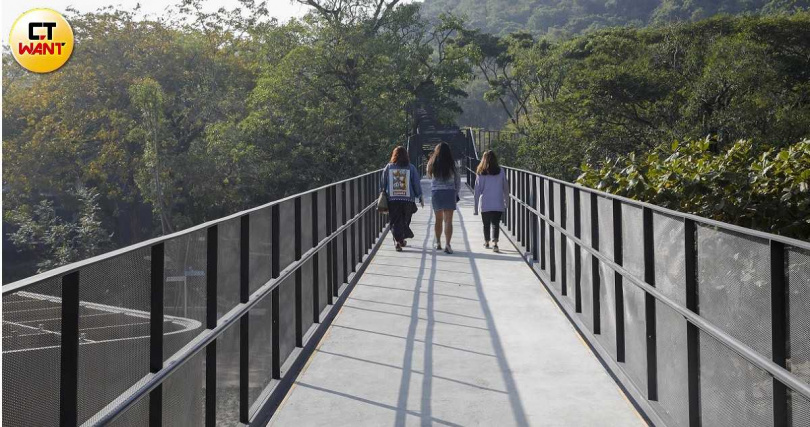 遊客可以漫步在最新的天空步道一覽動物園面貌，空橋下方也成為動物乘涼的所在。（圖／林士傑攝）
